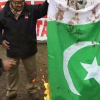 Flag burning picture